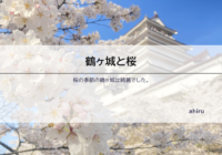 桜の季節の鶴ヶ城は綺麗でした。